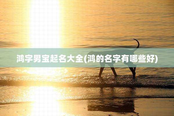 鸿字男宝起名大全(鸿的名字有哪些好)