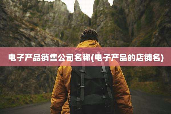 电子产品销售公司名称(电子产品的店铺名)