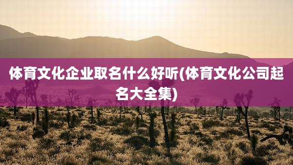 体育文化企业取名什么好听(体育文化公司起名大全集)
