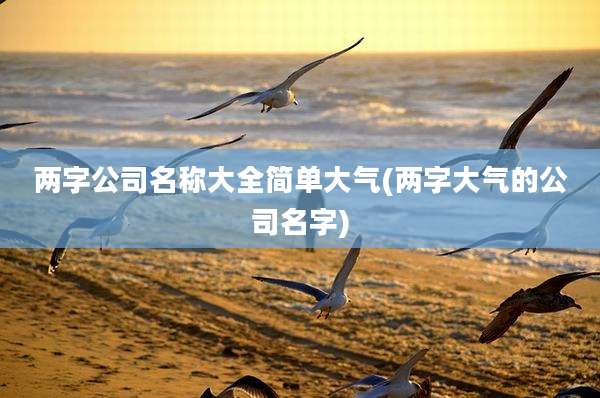 两字公司名称大全简单大气(两字大气的公司名字)