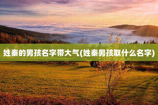 姓秦的男孩名字带大气(姓秦男孩取什么名字)