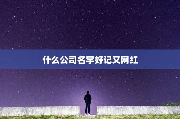 什么公司名字好记又网红