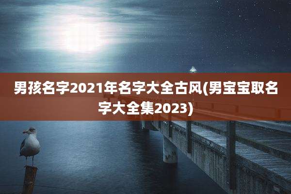 男孩名字2021年名字大全古风(男宝宝取名字大全集2023)