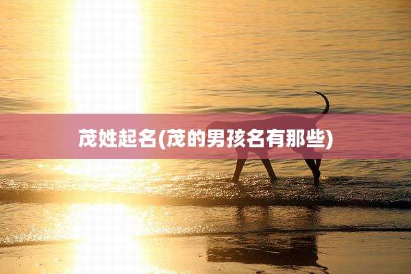 茂姓起名(茂的男孩名有那些)