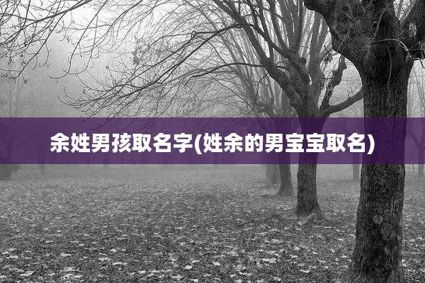 余姓男孩取名字(姓余的男宝宝取名)