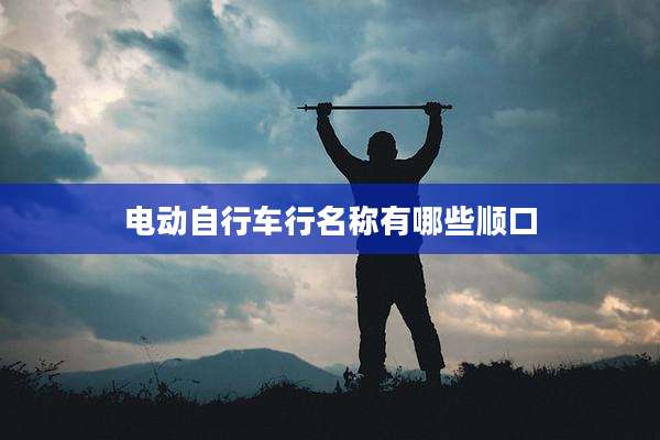 电动自行车行名称有哪些顺口