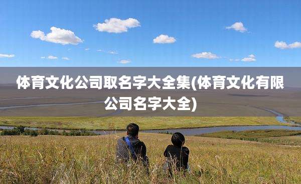 体育文化公司取名字大全集(体育文化有限公司名字大全)