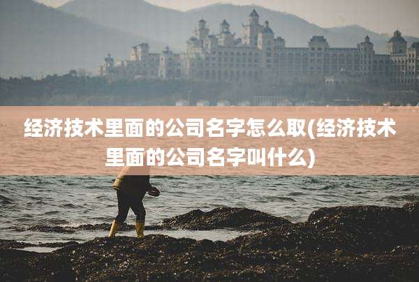 经济技术里面的公司名字怎么取(经济技术里面的公司名字叫什么)