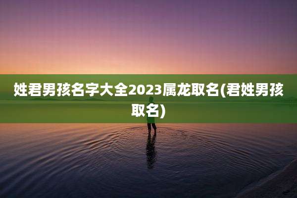 姓君男孩名字大全2023属龙取名(君姓男孩取名)
