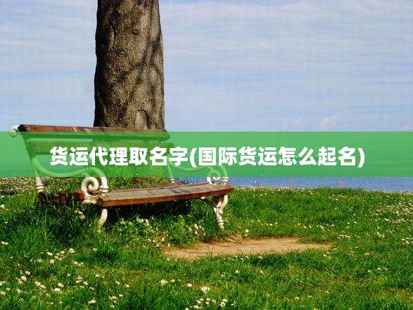 货运代理取名字(国际货运怎么起名)