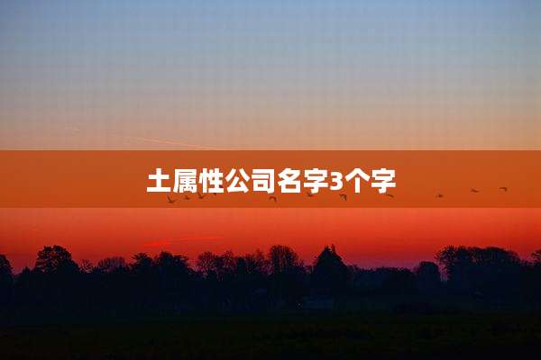 土属性公司名字3个字