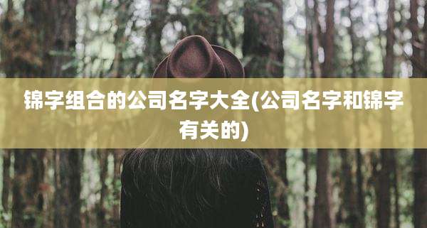 锦字组合的公司名字大全(公司名字和锦字有关的)