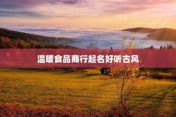 温暖食品商行起名好听古风