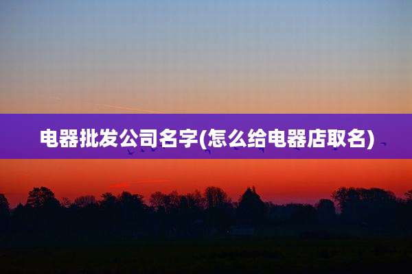 电器批发公司名字(怎么给电器店取名)