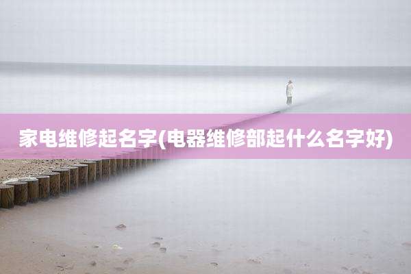 家电维修起名字(电器维修部起什么名字好)