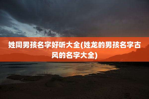 姓同男孩名字好听大全(姓龙的男孩名字古风的名字大全)