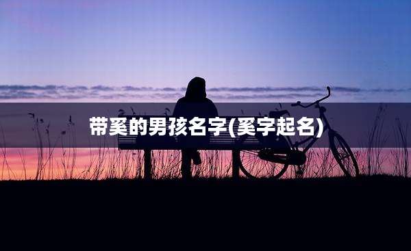 带奚的男孩名字(奚字起名)