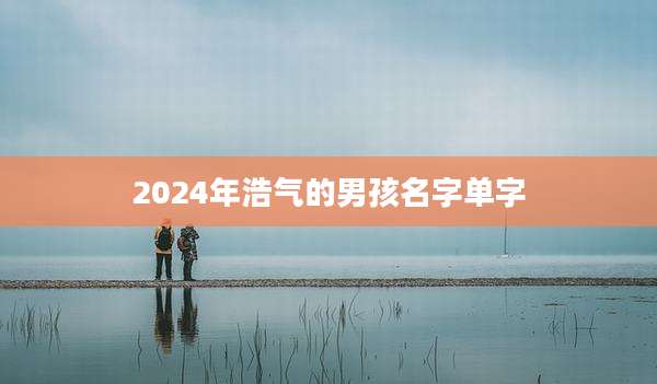 2024年浩气的男孩名字单字