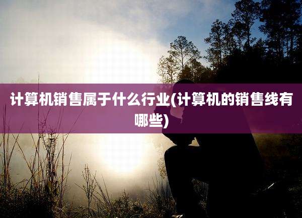 计算机销售属于什么行业(计算机的销售线有哪些)