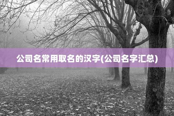 公司名常用取名的汉字(公司名字汇总)