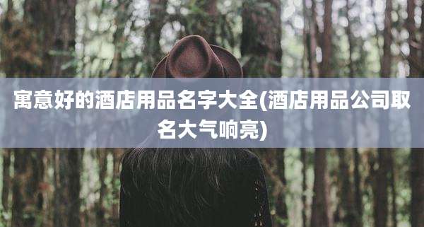 寓意好的酒店用品名字大全(酒店用品公司取名大气响亮)