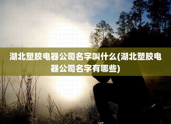 湖北塑胶电器公司名字叫什么(湖北塑胶电器公司名字有哪些)