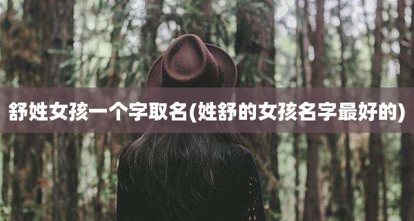 舒姓女孩一个字取名(姓舒的女孩名字最好的)