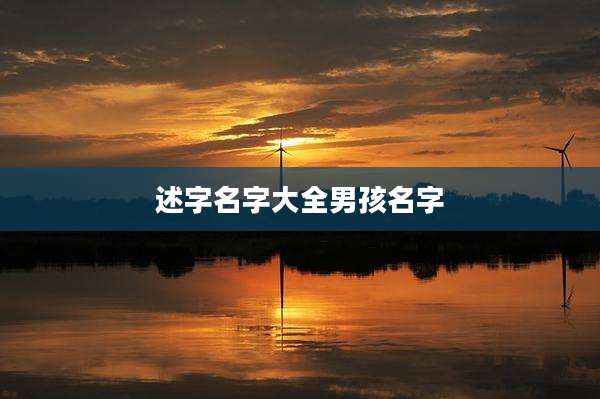 述字名字大全男孩名字
