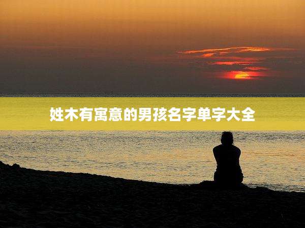 姓木有寓意的男孩名字单字大全