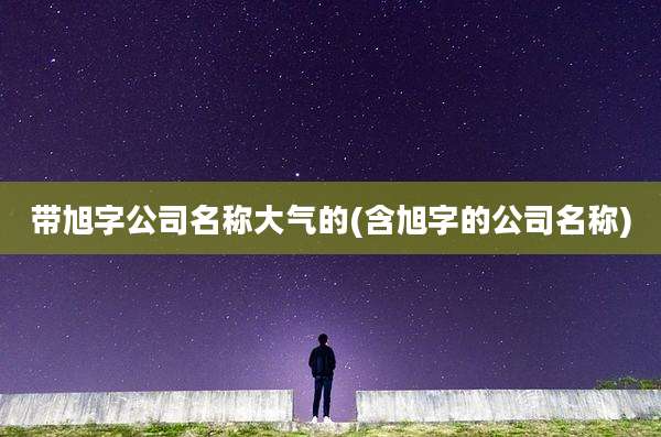 带旭字公司名称大气的(含旭字的公司名称)