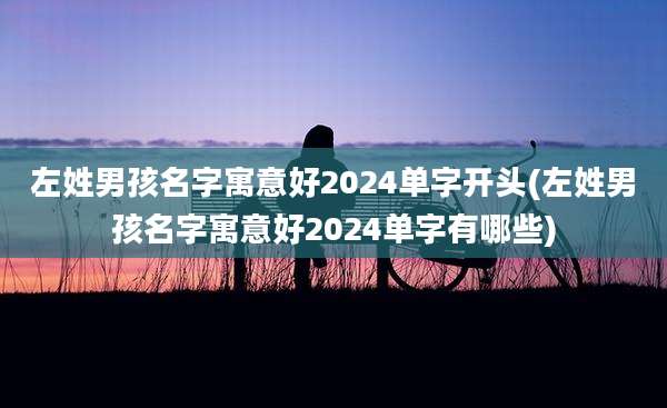 左姓男孩名字寓意好2024单字开头(左姓男孩名字寓意好2024单字有哪些)