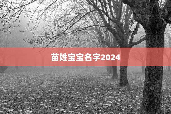 苗姓宝宝名字2024