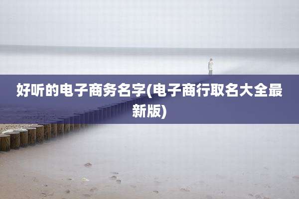 好听的电子商务名字(电子商行取名大全最新版)