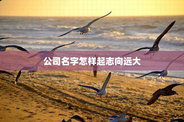 公司名字怎样起志向远大