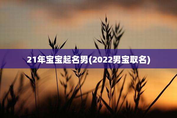 21年宝宝起名男(2022男宝取名)
