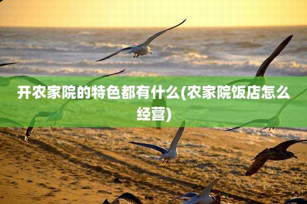 开农家院的特色都有什么(农家院饭店怎么经营)