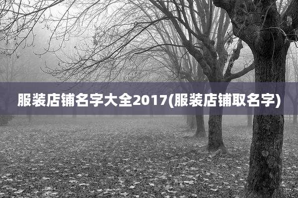 服装店铺名字大全2017(服装店铺取名字)