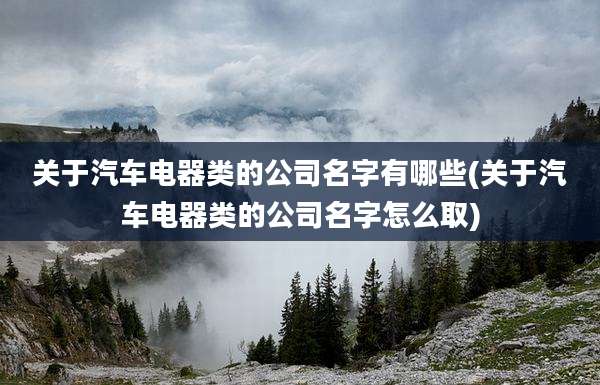关于汽车电器类的公司名字有哪些(关于汽车电器类的公司名字怎么取)