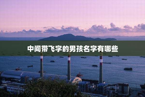 中间带飞字的男孩名字有哪些