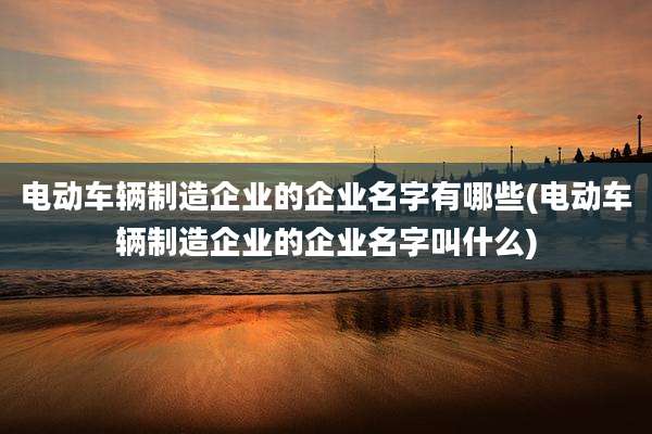 电动车辆制造企业的企业名字有哪些(电动车辆制造企业的企业名字叫什么)
