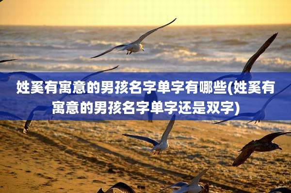 姓奚有寓意的男孩名字单字有哪些(姓奚有寓意的男孩名字单字还是双字)