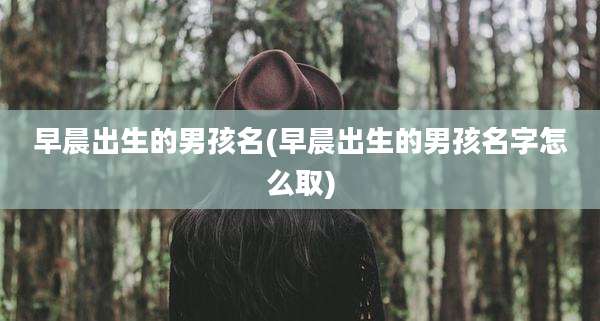早晨出生的男孩名(早晨出生的男孩名字怎么取)
