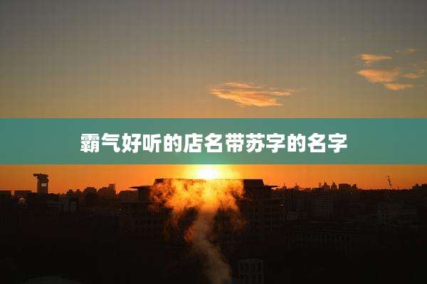 霸气好听的店名带苏字的名字