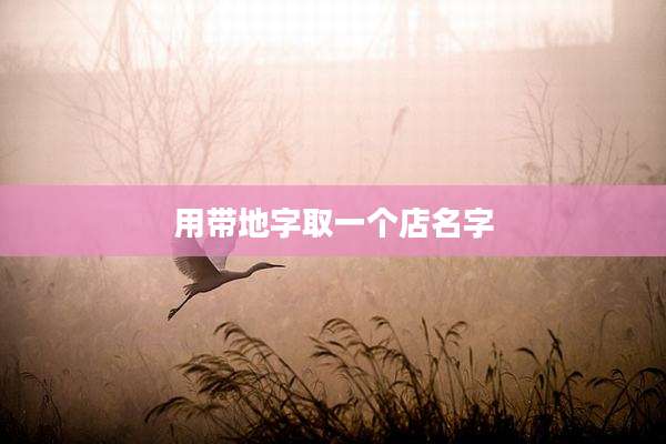 用带地字取一个店名字