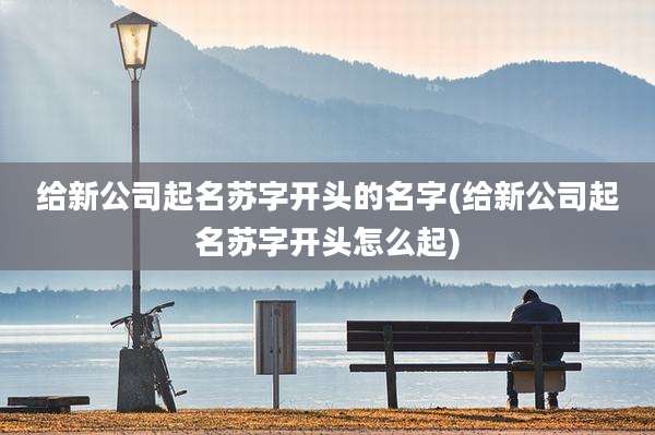 给新公司起名苏字开头的名字(给新公司起名苏字开头怎么起)