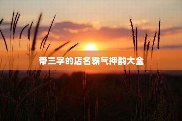 带三字的店名霸气押韵大全