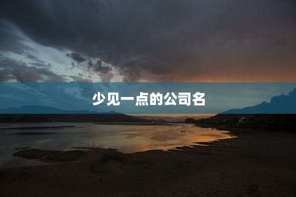 少见一点的公司名