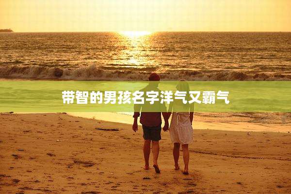 带智的男孩名字洋气又霸气