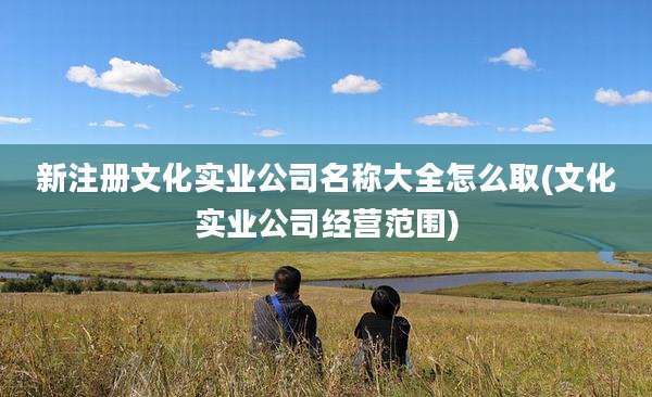 新注册文化实业公司名称大全怎么取(文化实业公司经营范围)