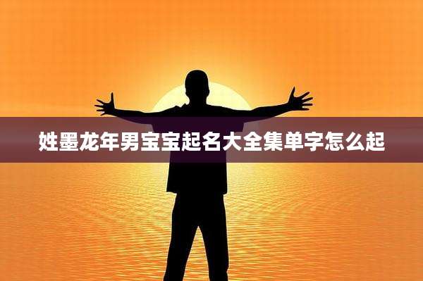 姓墨龙年男宝宝起名大全集单字怎么起